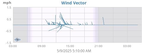 Wind Vector