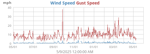 Wind Speed