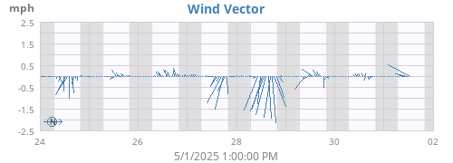 Wind Vector